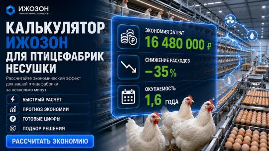Калькулятор ИжОзон для несушек: дезинфекция птичника, борьба с красным клещом, защита яйца от сальмонеллы
